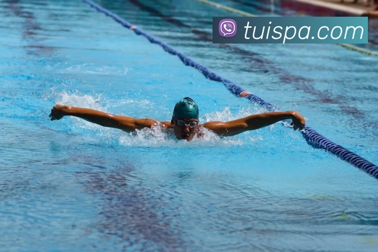 多媒体互动体验