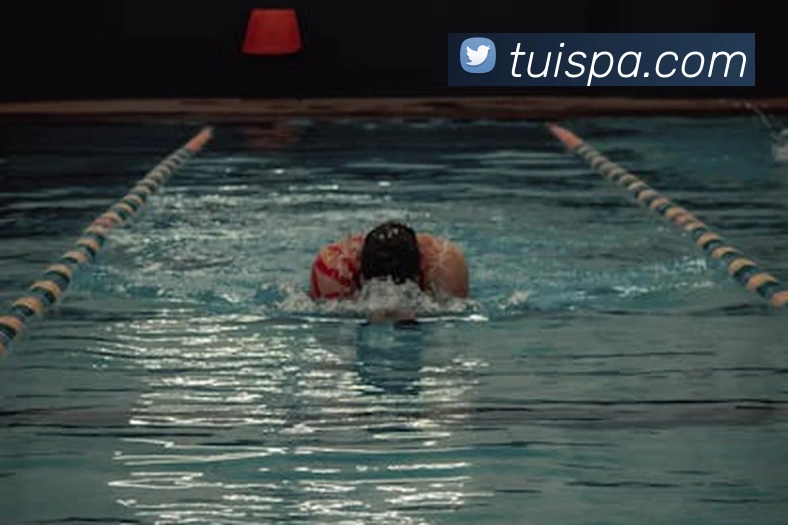 pa真人视讯APP 高清赛事图